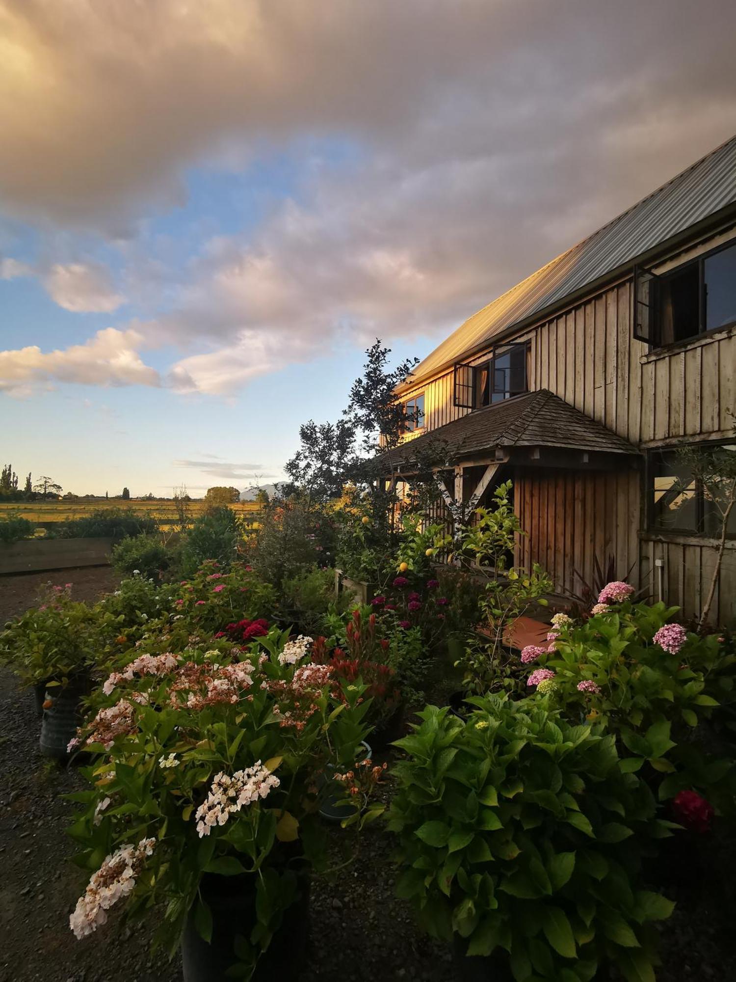 Bed and Breakfast Housewithnonails Матамата Экстерьер фото